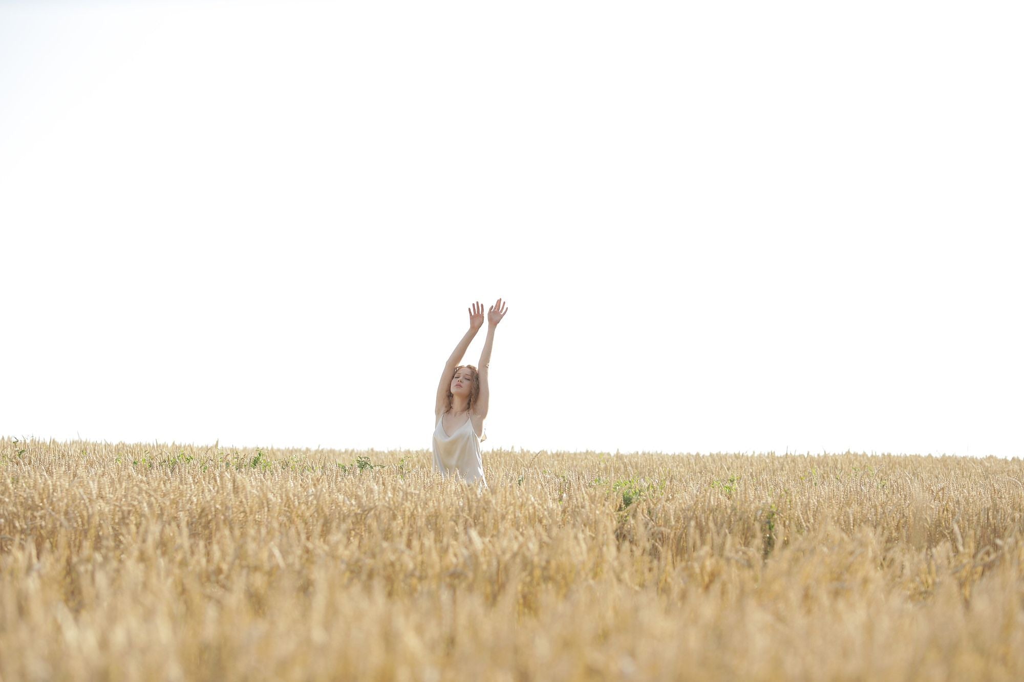 Collection “The Grain”